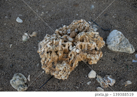 Small Coral Rock on Sandy Beach at Pantai Sawarna Small Coral Rock on Sandy Beach at Pantai Sawarna 139388519