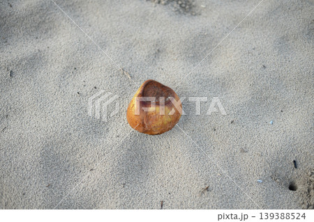 Weathered Brown Coconut Lying on Sandy Beach Weathered Brown Coconut Lying on Sandy Beach 139388524