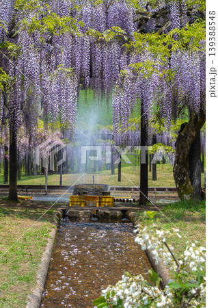 涼やかな水の音を感じる初夏の庭園 139388548