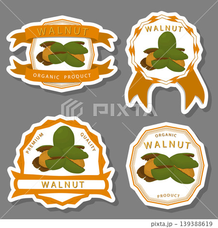 Illustration on theme big set different types walnut in nutshell Illustration on theme big set different types walnut in nutshell 139388619