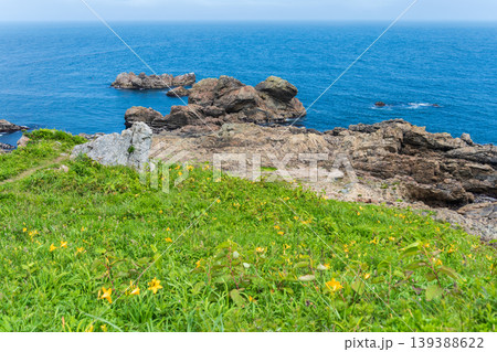 「青森県」渚に花咲く初夏の種差海岸・八戸市 「青森県」渚に花咲く初夏の種差海岸・八戸市 139388622
