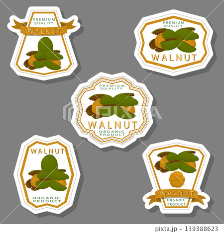 Illustration on theme big set different types walnut in nutshell 139388623