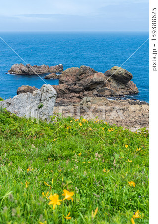 「青森県」渚に花咲く初夏の種差海岸・八戸市 139388625