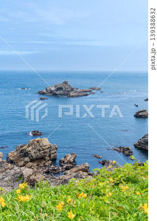 「青森県」渚に花咲く初夏の種差海岸・八戸市 「青森県」渚に花咲く初夏の種差海岸・八戸市 139388632