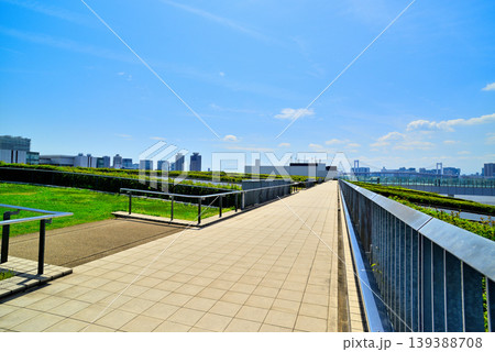 豊洲市場の屋上緑化広場から見える晴海埠頭及びレインボーブリッジ 豊洲市場の屋上緑化広場から見える晴海埠頭及びレインボーブリッジ 139388708