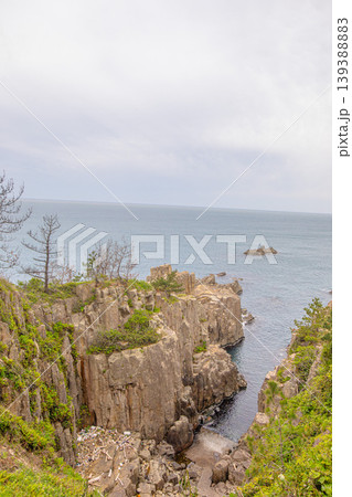 岩肌と新緑が混じる東尋坊の海岸風景 岩肌と新緑が混じる東尋坊の海岸風景 139388883