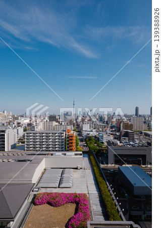 花越しに見える東京スカイツリーと都市の絶景　屋上から望む春の風景 139388926