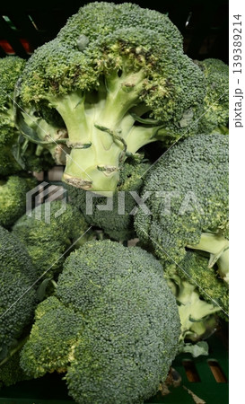 Fresh green broccoli heads piled together in a market display, showcasing vibrant color and texture, ready for purchase or cooking in healthy meals Fresh green broccoli heads piled together in a market display, showcasing vibrant color and texture, ready for purchase or cooking in healthy meals 139389214