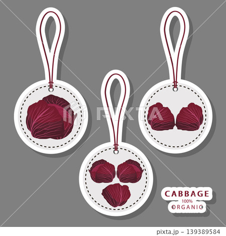 Sweet juicy tasty natural eco product cabbage Sweet juicy tasty natural eco product cabbage 139389584