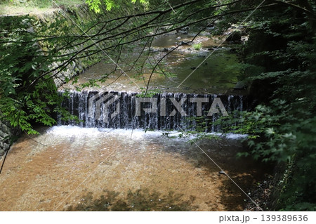 洒水の滝(神奈川県足柄上郡山北町)・深緑と滝沢川の流れ 洒水の滝(神奈川県足柄上郡山北町)・深緑と滝沢川の流れ 139389636