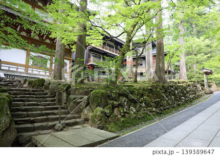 春の永平寺境内の風景 139389647