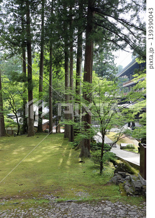 春の永平寺境内の風景 139390043