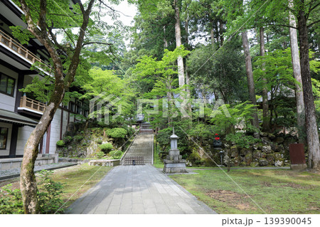 春の永平寺境内の風景 春の永平寺境内の風景 139390045