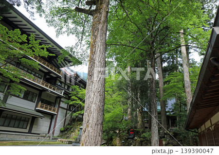 春の永平寺境内の風景 春の永平寺境内の風景 139390047
