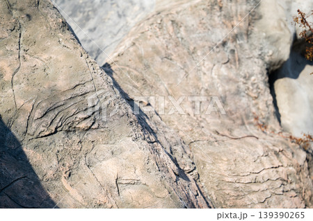 Artificial rock structure in zoo enclosure imitating natural stone surface with rough texture close view. Zoo habitat design and construction Artificial rock structure in zoo enclosure imitating natural stone surface with rough texture close view. Zoo habitat design and construction 139390265