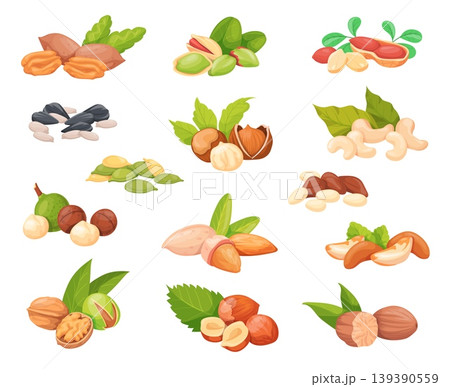 Cartoon nuts seeds. Almond peanut walnut hazelnut cashew pistachio pecan macadamia chestnut brazil nut sunflower pumpkin seed healthy snack food set neat vector illustration 139390559