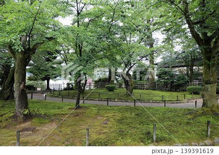 春の兼六園 139391619