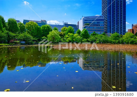 若葉と新緑の蓮池と青空が広がる周囲の景観 若葉と新緑の蓮池と青空が広がる周囲の景観 139391680