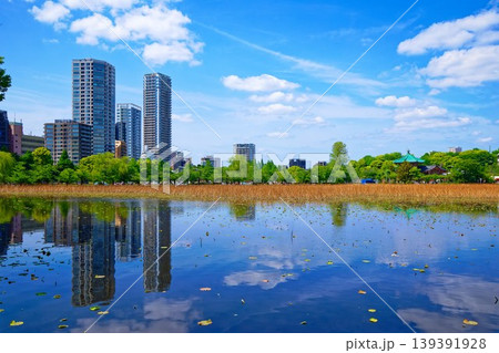 若葉と新緑の蓮池と青空が広がる周囲の景観 若葉と新緑の蓮池と青空が広がる周囲の景観 139391928