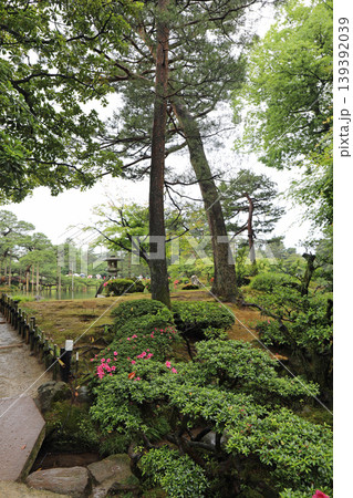 春の兼六園 春の兼六園 139392039