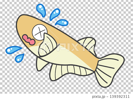哭泣的鱂魚 哭泣的鱂魚 139392311