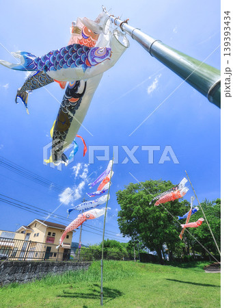 青空を泳ぐ鯉のぼり 139393434