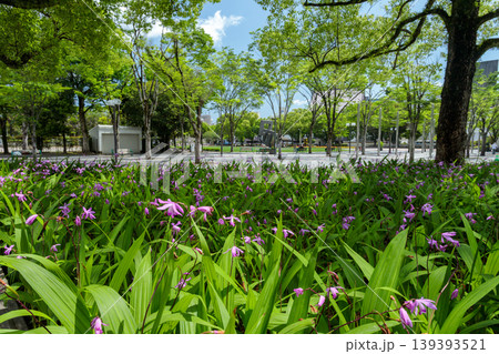 鹿児島市中央公園（テンパーク）の花壇と新緑の芝生が広がる春の風景 139393521