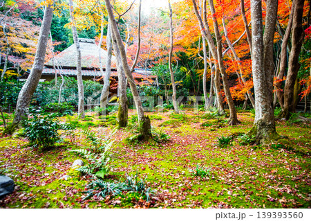 京都・祇王寺の紅葉 139393560