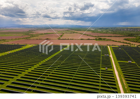 Aerial view of big sustainable electric power plant with many rows of solar photovoltaic panels for producing clean ecological electrical energy. Renewable electricity with zero emission concept. Aerial view of big sustainable electric power plant with many rows of solar photovoltaic panels for producing clean ecological electrical energy. Renewable electricity with zero emission concept. 139393741