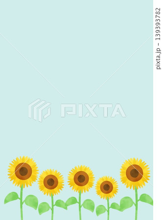 シンプルなひまわり畑と青空の背景イラスト 139393782