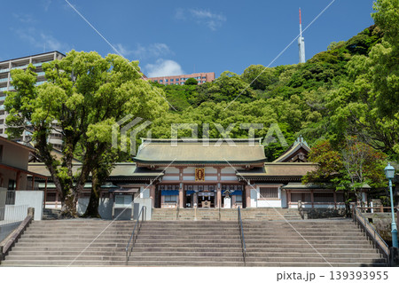 照国神社の社殿を正面から捉えた新緑と青空の風景(鹿児島市) 照国神社の社殿を正面から捉えた新緑と青空の風景(鹿児島市) 139393955