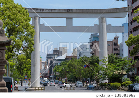 照国神社の社殿を正面から捉えた新緑と青空の風景(鹿児島市) 照国神社の社殿を正面から捉えた新緑と青空の風景(鹿児島市) 139393968