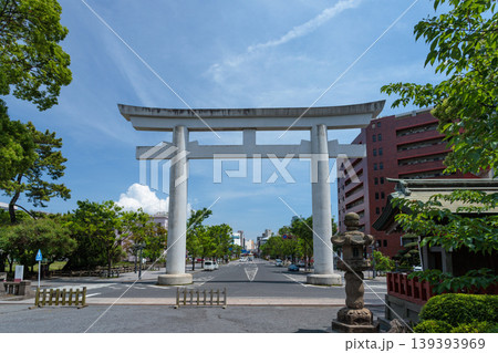 照国神社の社殿を正面から捉えた新緑と青空の風景（鹿児島市） 139393969