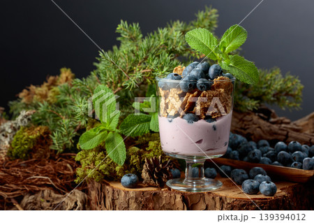 Blueberry dessert with rye flakes and fresh berries. Blueberry dessert with rye flakes and fresh berries. 139394012