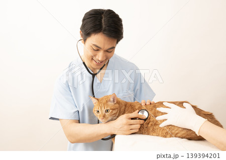 チャトラ猫の診察をする獣医師 139394201
