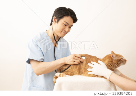 チャトラ猫の診察をする獣医師 チャトラ猫の診察をする獣医師 139394205