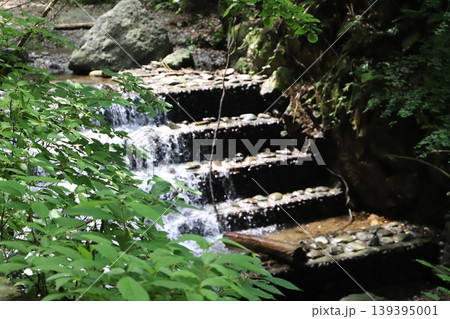 洒水の滝(神奈川県足柄上郡山北町)・階段のように流れる滝沢川 洒水の滝(神奈川県足柄上郡山北町)・階段のように流れる滝沢川 139395001
