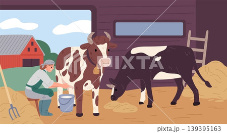 Farmer with cow. Woman in apron milks cow in barn, bull eats hay, cattle care, rural household, agricultural worker, dairy farm scene with livestock garish vector cartoon isolated concept Farmer with cow. Woman in apron milks cow in barn, bull eats hay, cattle care, rural household, agricultural worker, dairy farm scene with livestock garish vector cartoon isolated concept 139395163