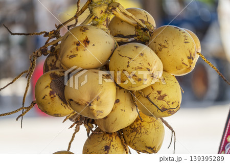 Nice tender coconuts are hanging in beach side shop Nice tender coconuts are hanging in beach side shop 139395289