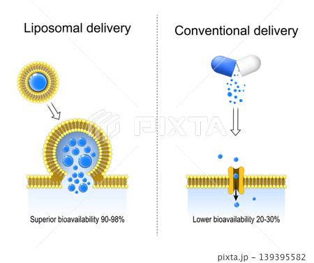 Conventional delivery and Liposomal delivery. Superior bioavailability. 139395582