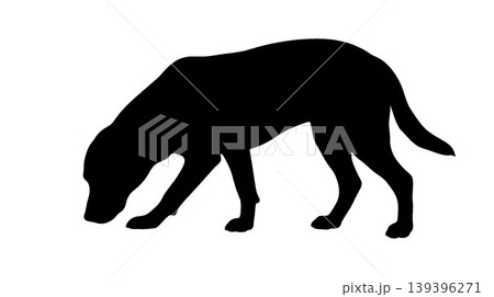 地面を嗅ぐ犬のシルエット 139396271