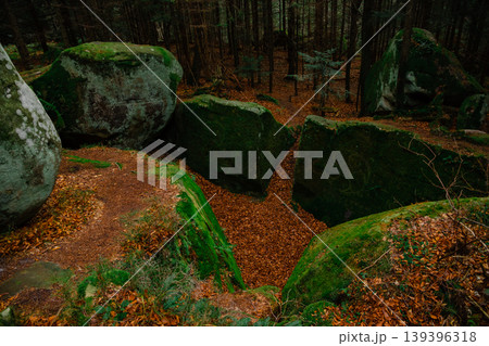 dusk forest moss cover rocky canyon landscape scenery view dusk forest moss cover rocky canyon landscape scenery view 139396318