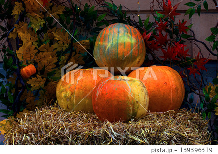 pumpkin Halloween autumn October aesthetic still life scene background concept orange color picture pumpkin Halloween autumn October aesthetic still life scene background concept orange color picture 139396319