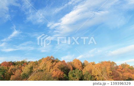 A panoramic view of a dense forest displaying a spectrum of fall colors, with a bright blue sky overhead and delicate cirrus clouds drifting by A panoramic view of a dense forest displaying a spectrum of fall colors, with a bright blue sky overhead and delicate cirrus clouds drifting by 139396329