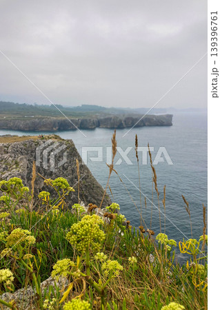 Cliffs at Bufones of Pria in the Cantabrian Sea also known as the Pria Blowholes, are a fascinating natural geological phenomenon located on the northern coast of Asturias, Spain. 139396761