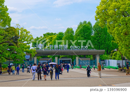 若葉と新緑の上野動物園　入口 139396900