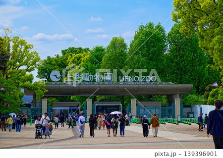 若葉と新緑の上野動物園　入口 139396901