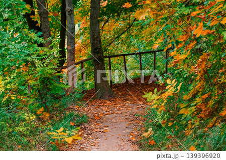 October autumn forest path dirt foot trail surrounded by vibrant seasonal foliage and fallen leaves on the ground in a natural setting 139396920