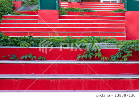 red staircase with wild plants old aged building porch background red staircase with wild plants old aged building porch background 139397136