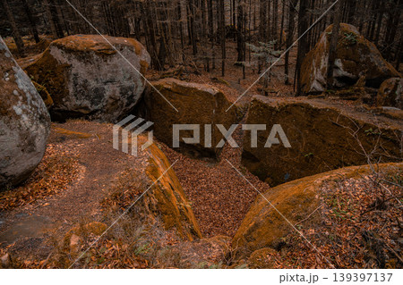 rocky canyon deep forest wood land autumn orange October aesthetic landscape rocky canyon deep forest wood land autumn orange October aesthetic landscape 139397137